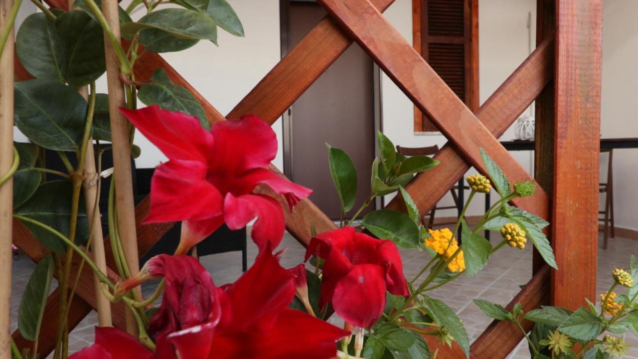B&B Verzavo Cetraro Exteriér fotografie